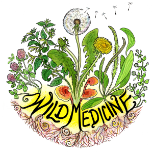 WildMedicineFullColor_Med_transparent