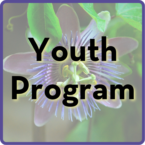 Click this image to learn more about our Youth Program and enroll your kiddo!